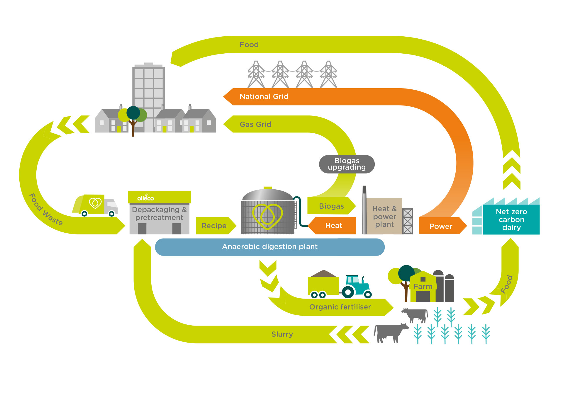 Image of the anaerobic digestion process