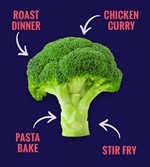 Use it up brocolli recipe ideas