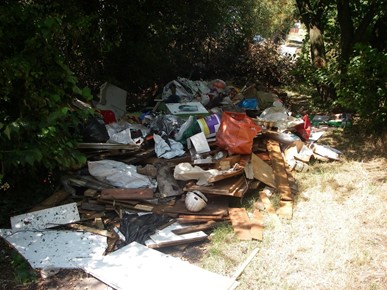 Fly tip